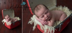 Newborn Photographer, Decatur, Il hiddengemphotography.com