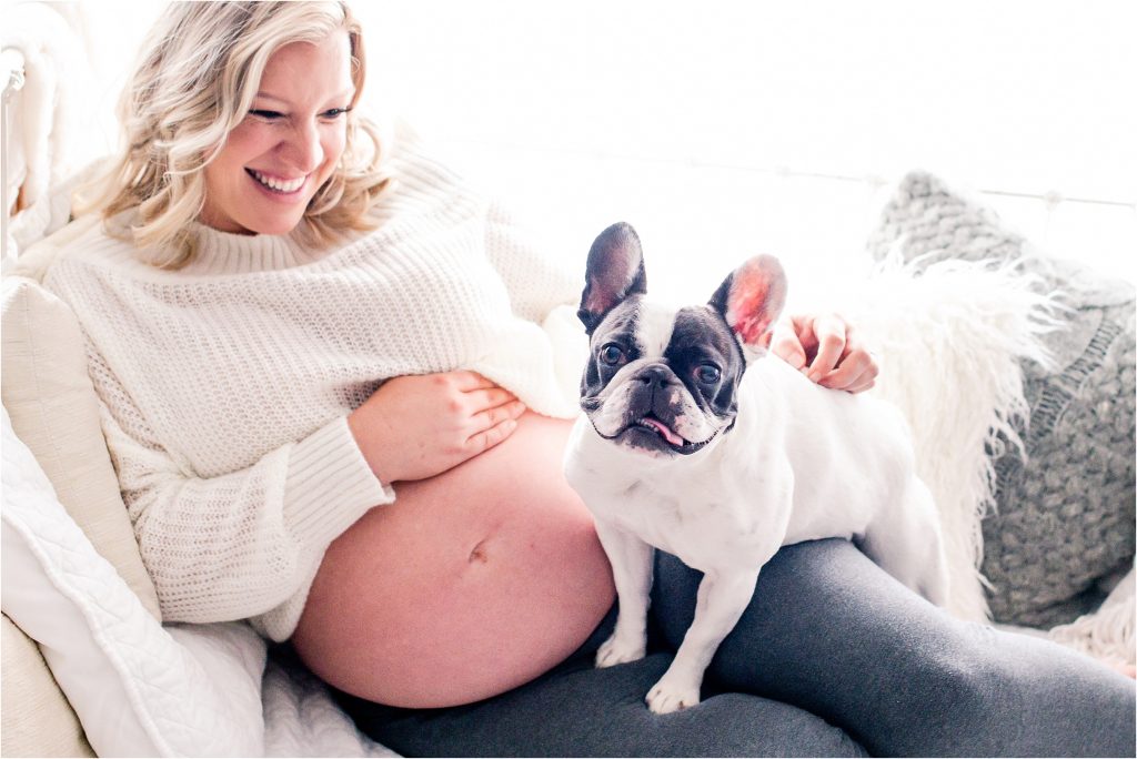 Pregnant mom during studio maternity session looking at frenchie sitting on her lap