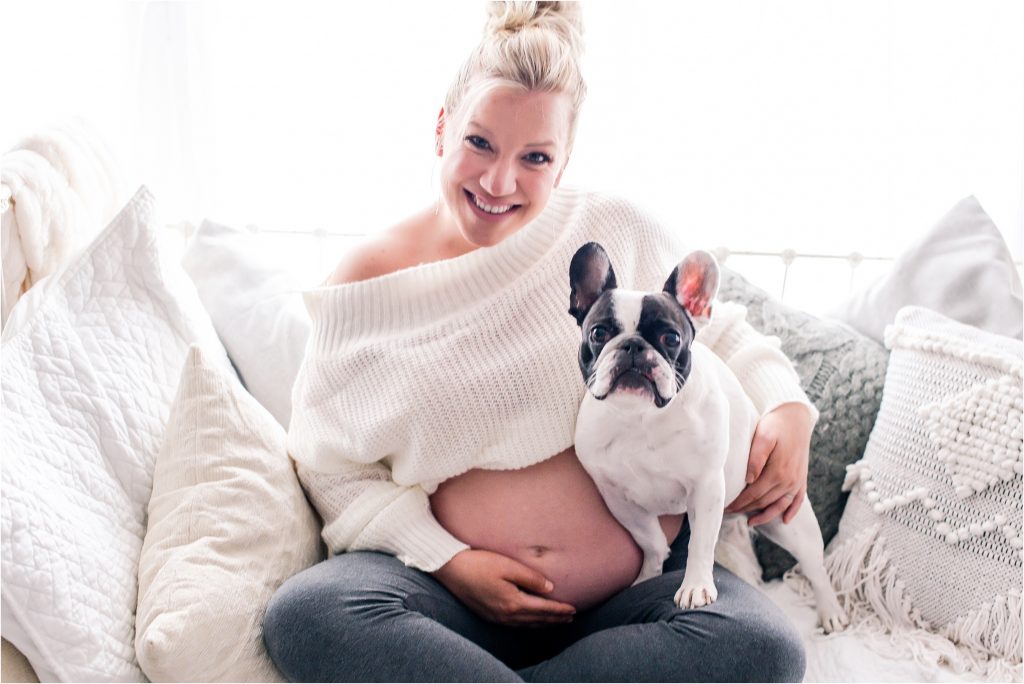 pregnant mom and frenchie looking right at the camera during studio maternity session
